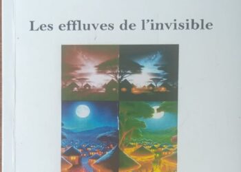 Lu pour vous : Le roman Les Effluves de l’invisible d’André Liboire Tsala Mbani